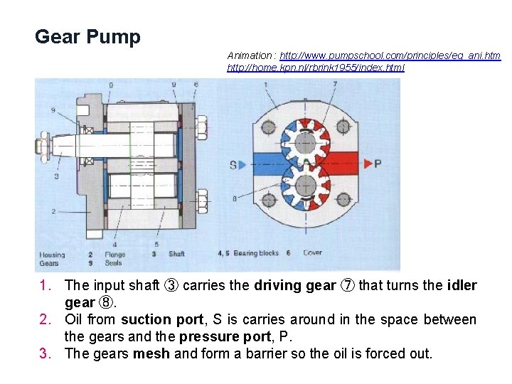 Gear Pump Animation : http: //www. pumpschool. com/principles/eg_ani. htm http: //home. kpn. nl/rbrink 1955/index.