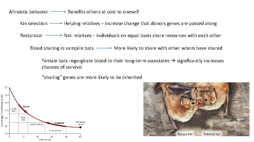 Altruistic behavior Benefits others at cost to oneself Kin selection Helping relatives – increase