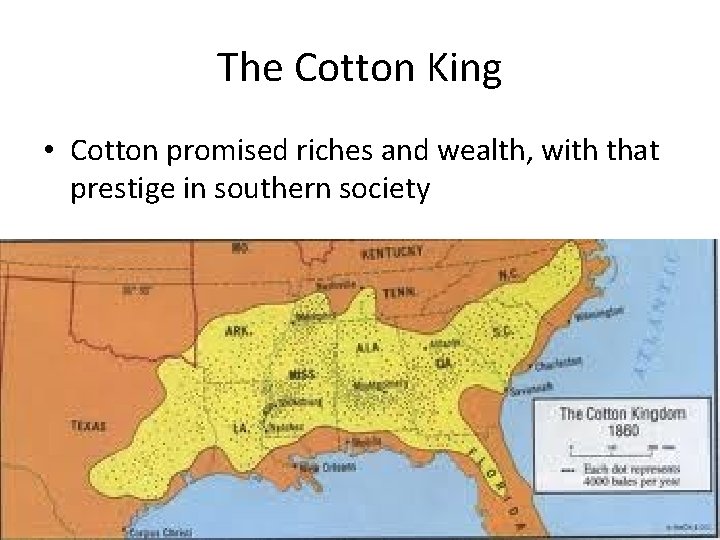 The Cotton King • Cotton promised riches and wealth, with that prestige in southern