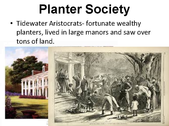 Planter Society • Tidewater Aristocrats- fortunate wealthy planters, lived in large manors and saw