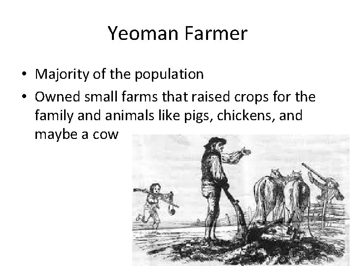 Yeoman Farmer • Majority of the population • Owned small farms that raised crops