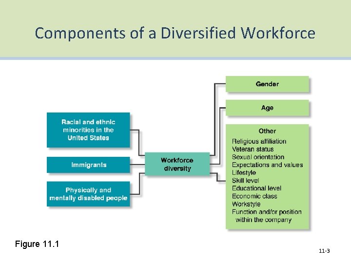 Components of a Diversified Workforce Figure 11. 1 11 -3 