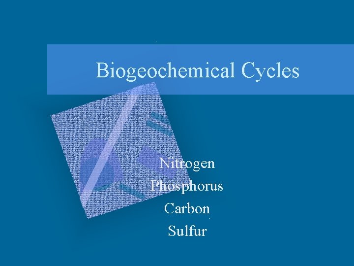 Biogeochemical Cycles Nitrogen Phosphorus Carbon Sulfur 