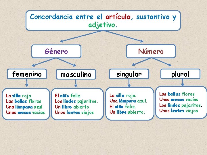 Concordancia entre el artículo, sustantivo y adjetivo. Género Número femenino masculino singular plural La