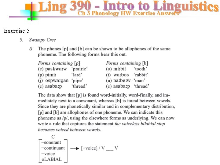 Ch 3 Phonology HW Exercise Answers Exercise 5 