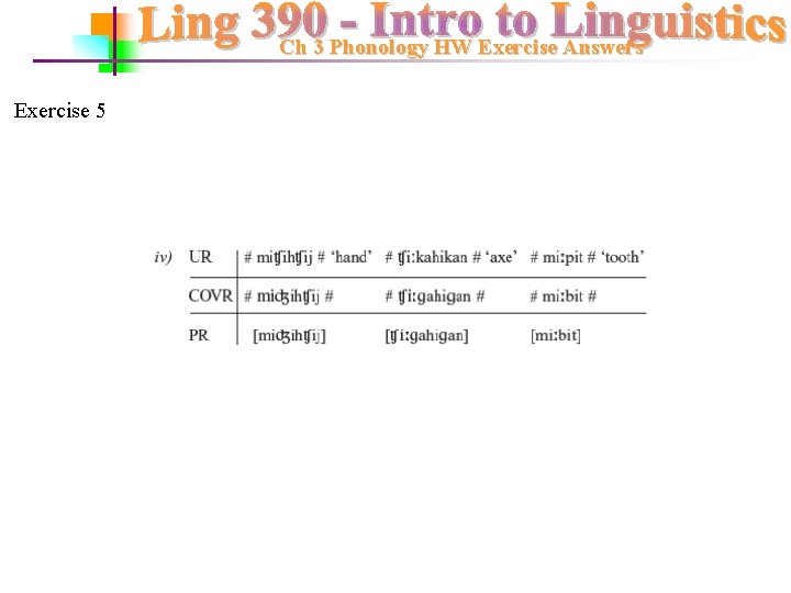 Ch 3 Phonology HW Exercise Answers Exercise 5 