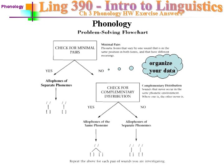Phonology Ch 3 Phonology HW Exercise Answers Phonology organize your data 