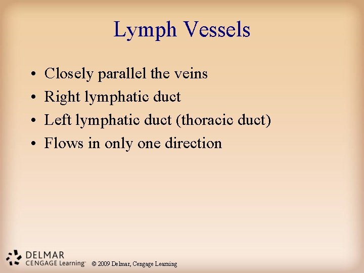 Lymph Vessels • • Closely parallel the veins Right lymphatic duct Left lymphatic duct