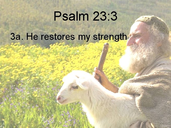 Psalm 23: 3 3 a. He restores my strength 