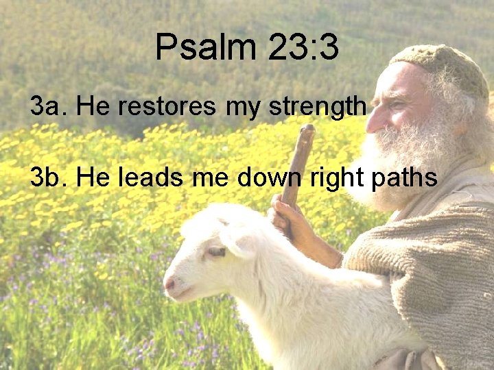 Psalm 23: 3 3 a. He restores my strength 3 b. He leads me