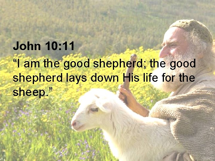 John 10: 11 “I am the good shepherd; the good shepherd lays down His