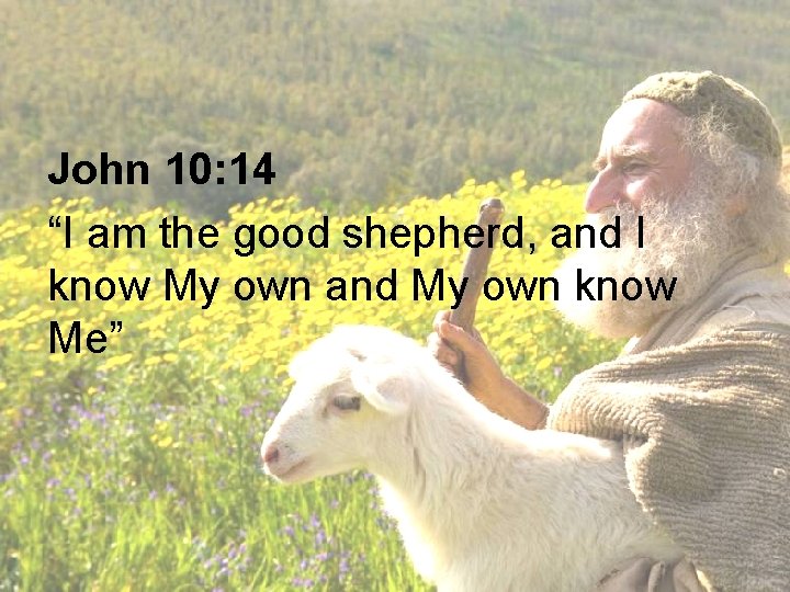 John 10: 14 “I am the good shepherd, and I know My own and