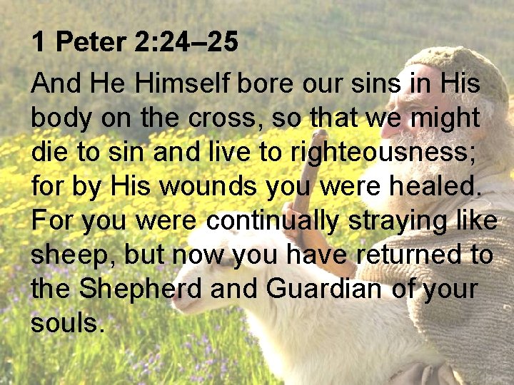 1 Peter 2: 24– 25 And He Himself bore our sins in His body