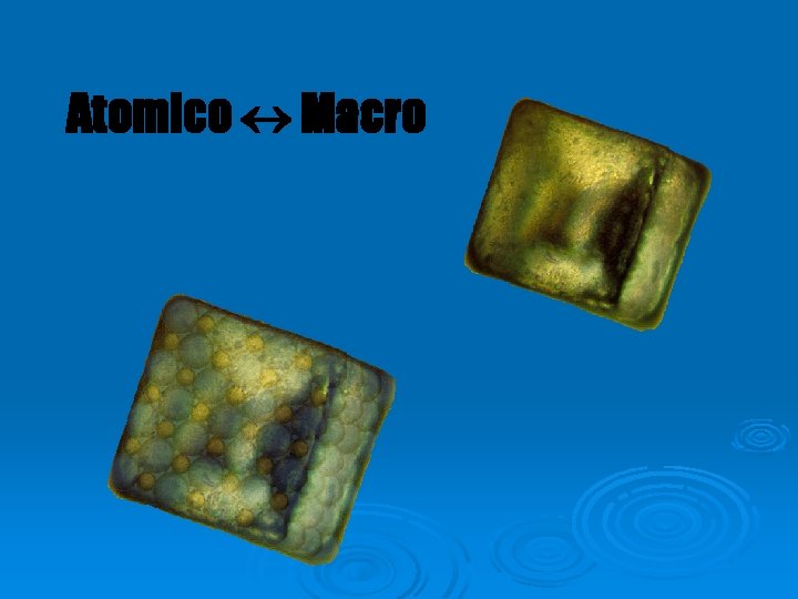 Atomico Macro 