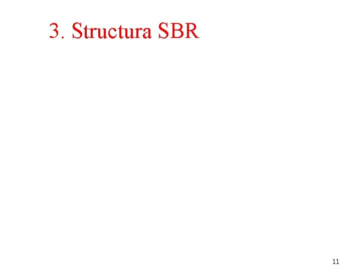 3. Structura SBR 11 