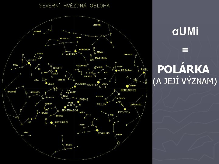 αUMi = POLÁRKA (A JEJÍ VÝZNAM) αUMi = POLÁRKA (A JEJÍ VÝZNAM)