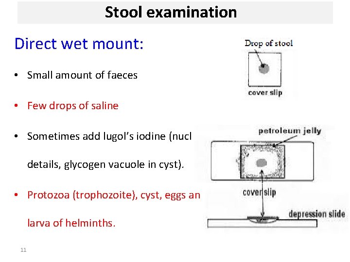 Stool examination Direct wet mount: • Small amount of faeces • Few drops of