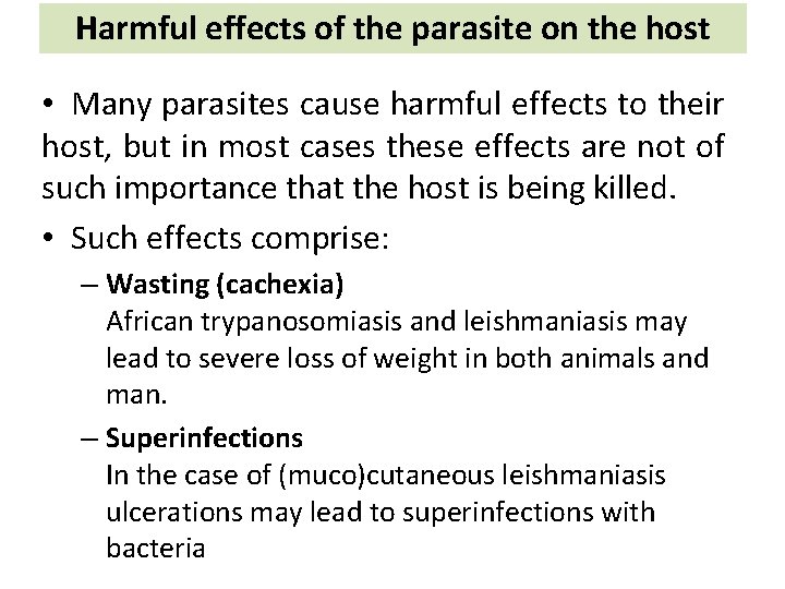 Harmful effects of the parasite on the host • Many parasites cause harmful effects
