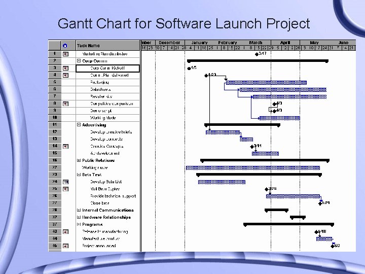 Gantt Chart for Software Launch Project 