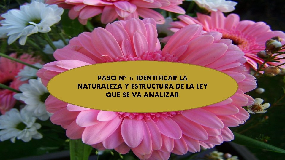 PASO N° 1: IDENTIFICAR LA NATURALEZA Y ESTRUCTURA DE LA LEY QUE SE VA