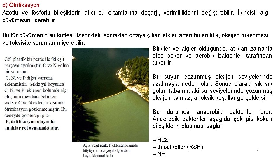 d) Ötrifikasyon Azotlu ve fosforlu bileşiklerin alıcı su ortamlarına deşarjı, verimliliklerini değiştirebilir. İkincisi, alg