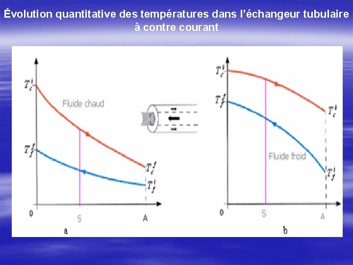 Évolution quantitative des températures dans l’échangeur tubulaire à contre courant 