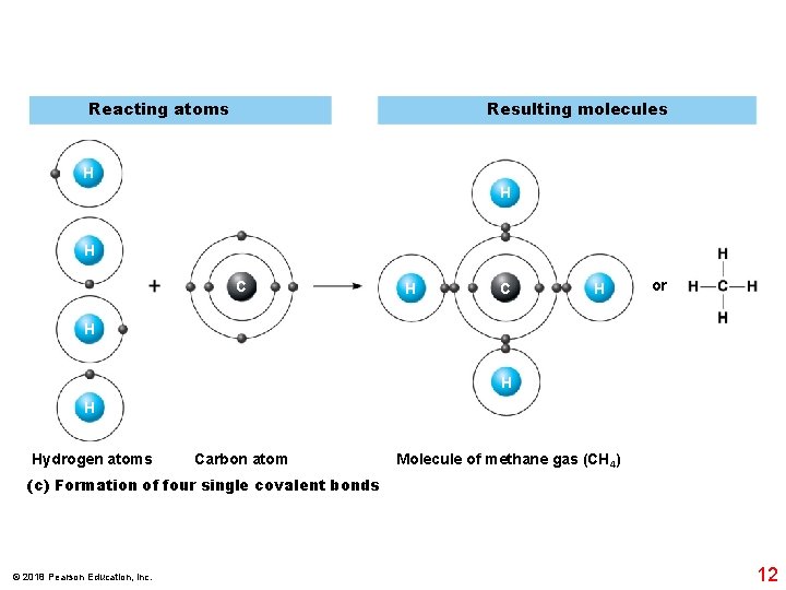 Reacting atoms Resulting molecules H H H C H or H Hydrogen atoms Carbon
