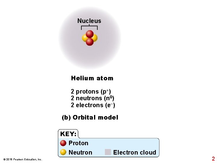 Nucleus Helium atom 2 protons (p+) 2 neutrons (n 0) 2 electrons (e−) (b)