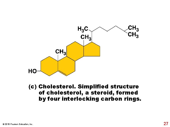 (c) Cholesterol. Simplified structure of cholesterol, a steroid, formed by four interlocking carbon rings.