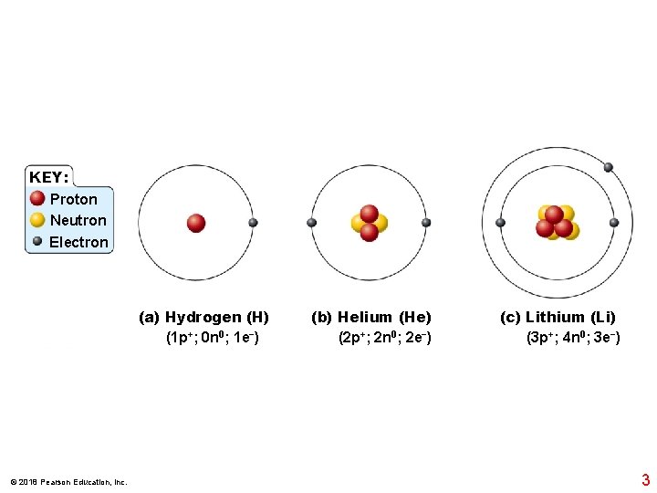 KEY: Proton Neutron Electron (a) Hydrogen (H) (1 p+; 0 n 0; 1 e−)