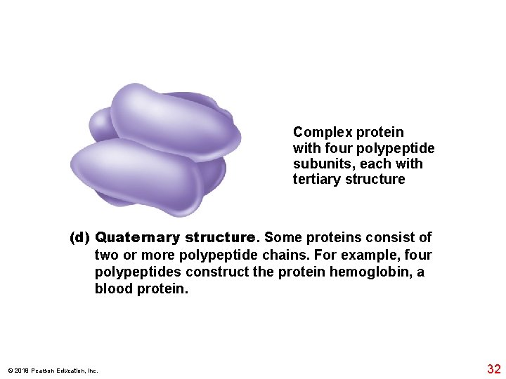 Complex protein with four polypeptide subunits, each with tertiary structure (d) Quaternary structure. Some