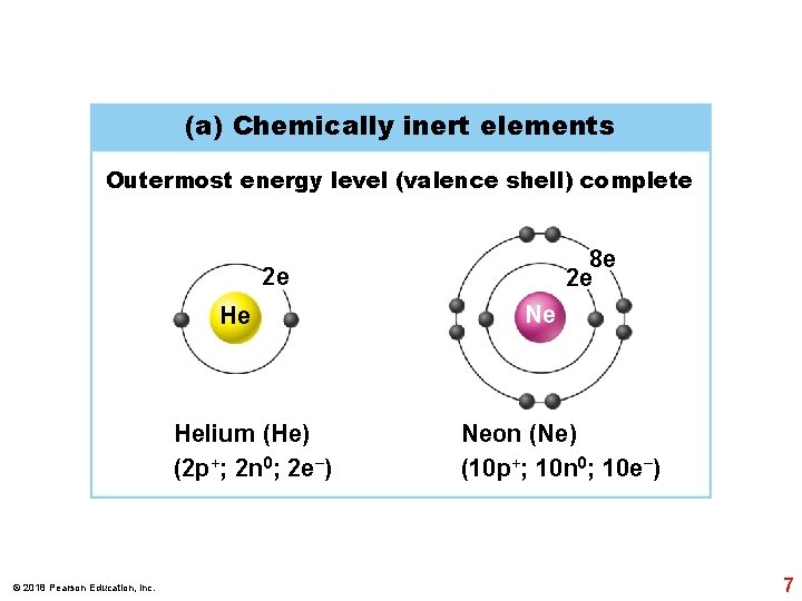 (a) Chemically inert elements Outermost energy level (valence shell) complete 8 e 2 e