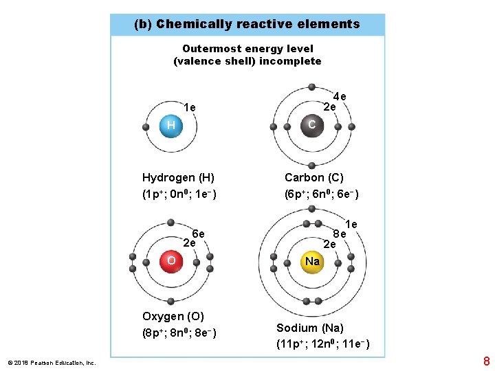 (b) Chemically reactive elements Outermost energy level (valence shell) incomplete 4 e 2 e