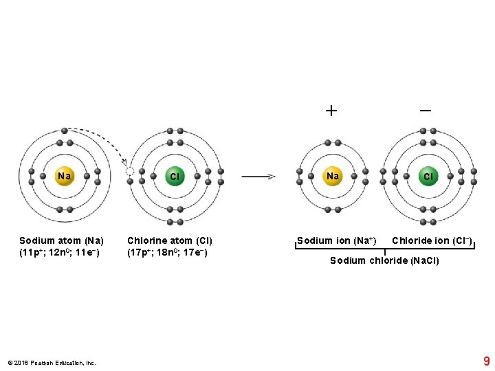 Na Sodium atom (Na) (11 p+; 12 n 0; 11 e−) © 2018 Pearson