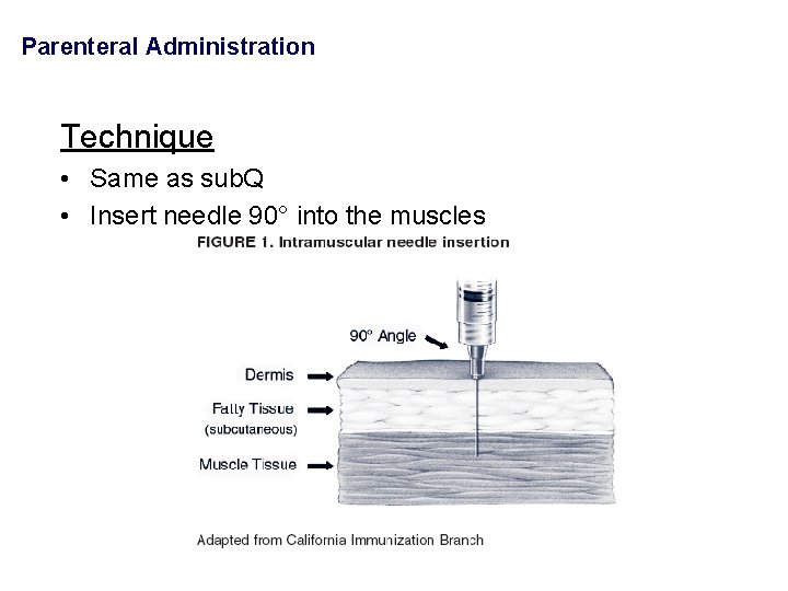 Parenteral Administration Technique • Same as sub. Q • Insert needle 90° into the