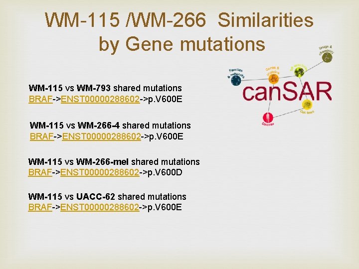 WM-115 /WM-266 Similarities by Gene mutations WM-115 vs WM-793 shared mutations BRAF->ENST 00000288602 ->p.