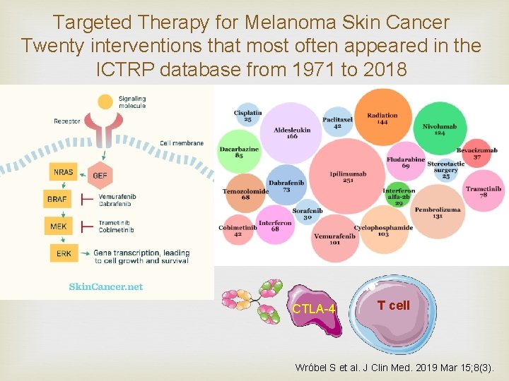 Targeted Therapy for Melanoma Skin Cancer Twenty interventions that most often appeared in the