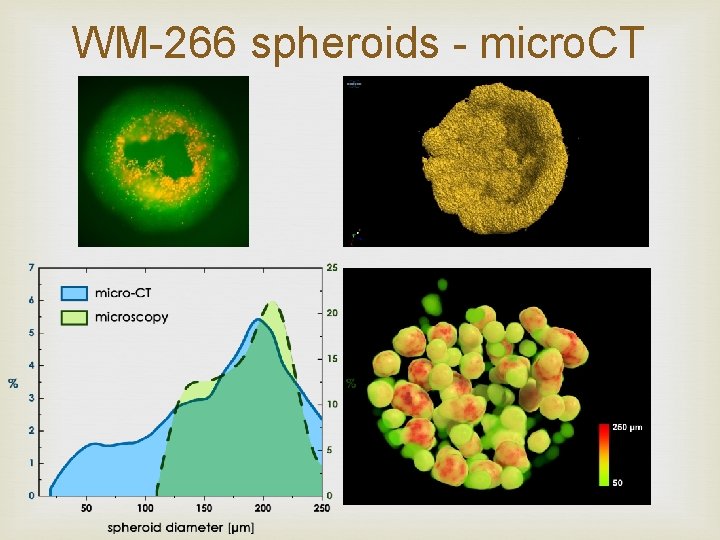 WM-266 spheroids - micro. CT 