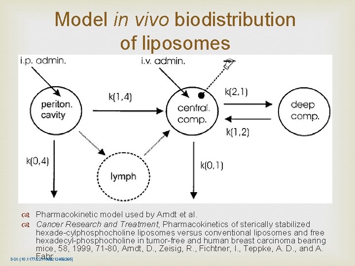 Model in vivo biodistribution of liposomes Pharmacokinetic model used by Arndt et al. Cancer