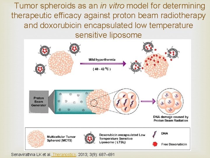 Tumor spheroids as an in vitro model for determining therapeutic efficacy against proton beam