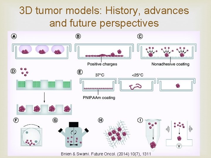 3 D tumor models: History, advances and future perspectives Bnien & Swami. Future Oncol.