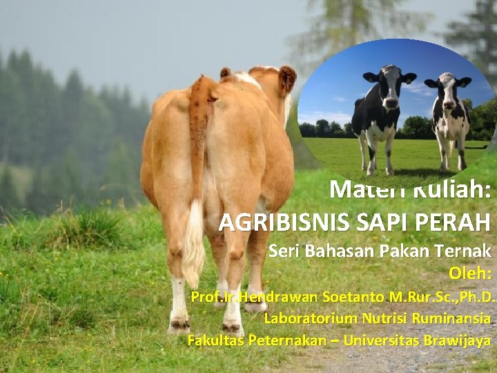 Materi Kuliah: AGRIBISNIS SAPI PERAH Seri Bahasan Pakan Ternak Oleh: Prof. Ir. Hendrawan Soetanto