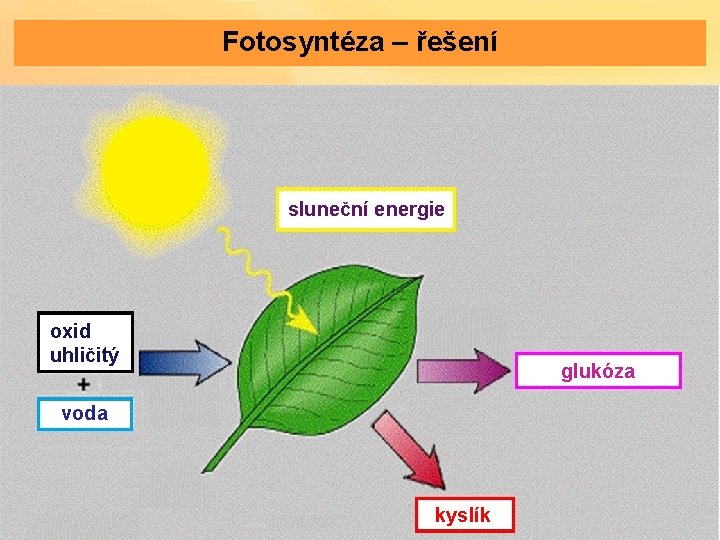 Fotosyntéza – řešení sluneční energie oxid uhličitý glukóza voda kyslík 