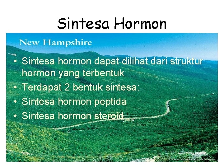 Sintesa Hormon • Sintesa hormon dapat dilihat dari struktur hormon yang terbentuk • Terdapat