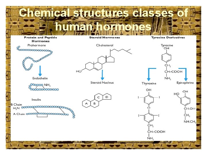 Chemical structures classes of human hormones 