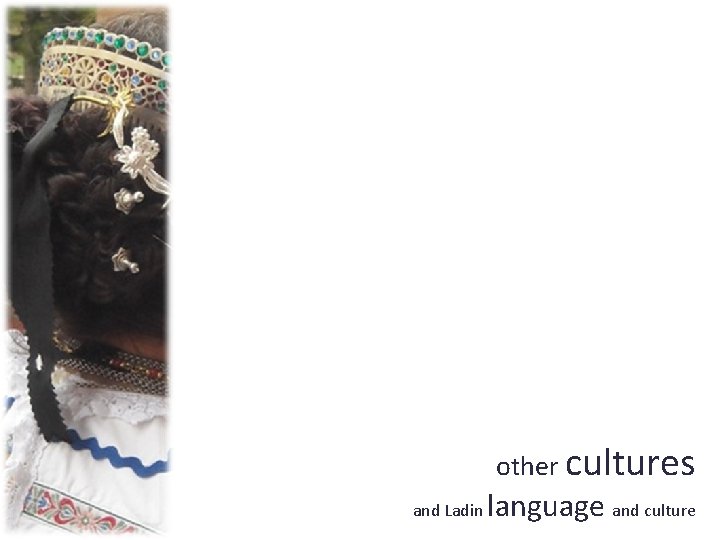 other cultures and Ladin language and culture 