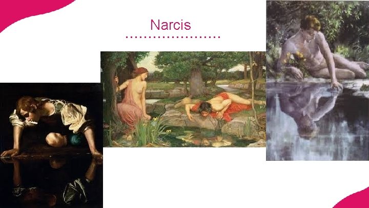 Narcis 