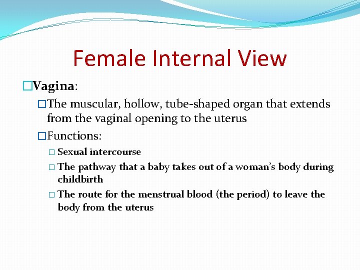 Female Internal View �Vagina: �The muscular, hollow, tube-shaped organ that extends from the vaginal