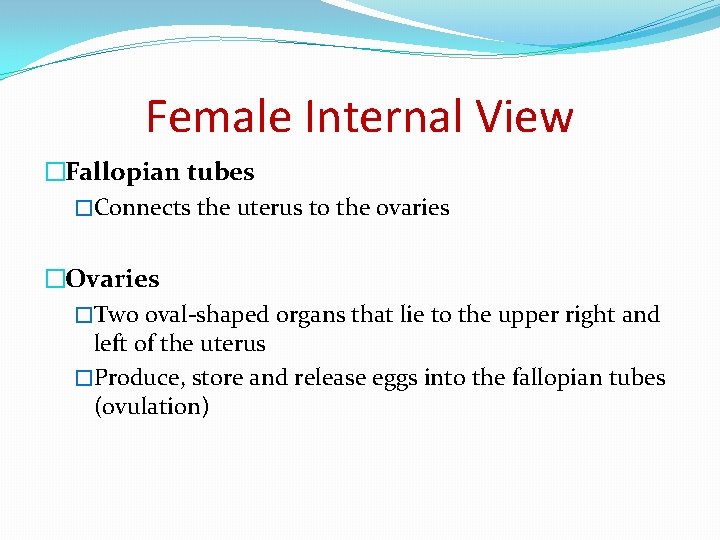 Female Internal View �Fallopian tubes �Connects the uterus to the ovaries �Ovaries �Two oval-shaped