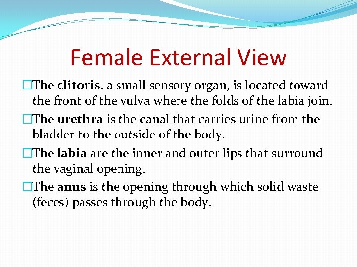 Female External View �The clitoris, a small sensory organ, is located toward the front